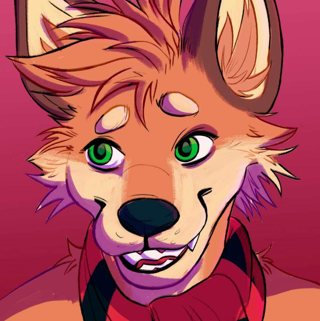 Winter (Red Fox) | Wiki | Furry Amino