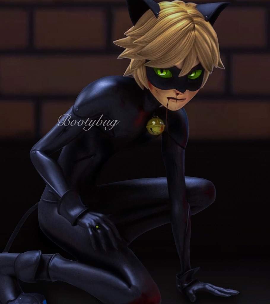 Mad Chat Noir Miraculous Amino