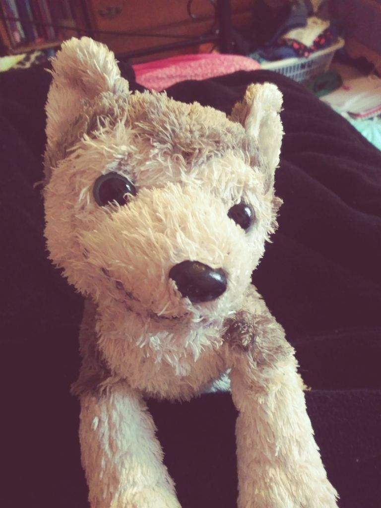 smile dog plush