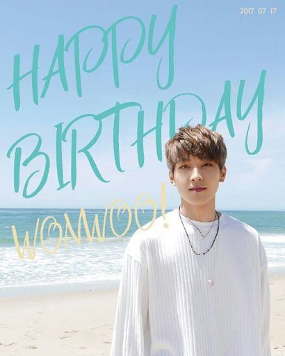 Happy Birthday | Seventeen Amino Amino