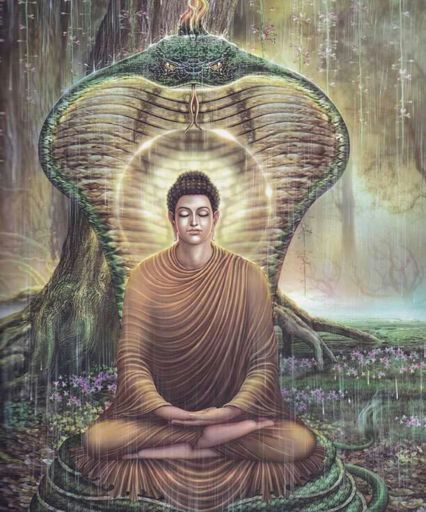 Significado De La Serpiente En El Budismo