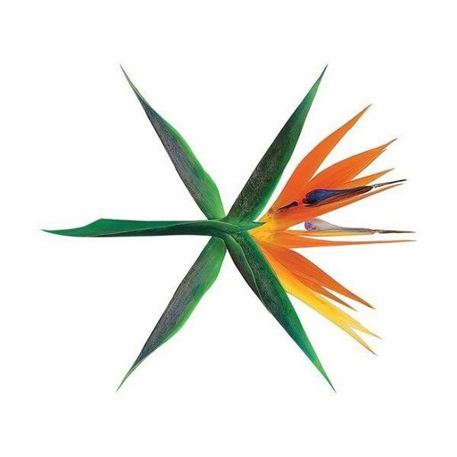 Download Album Exo The War The 4th Album Mp3 Itunes Plus Aac M4a Kpop Amino