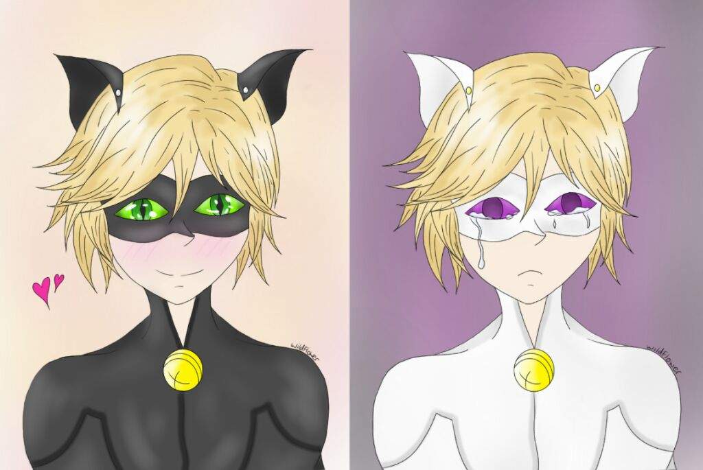 Crying Chat Blanc | Miraculous Amino