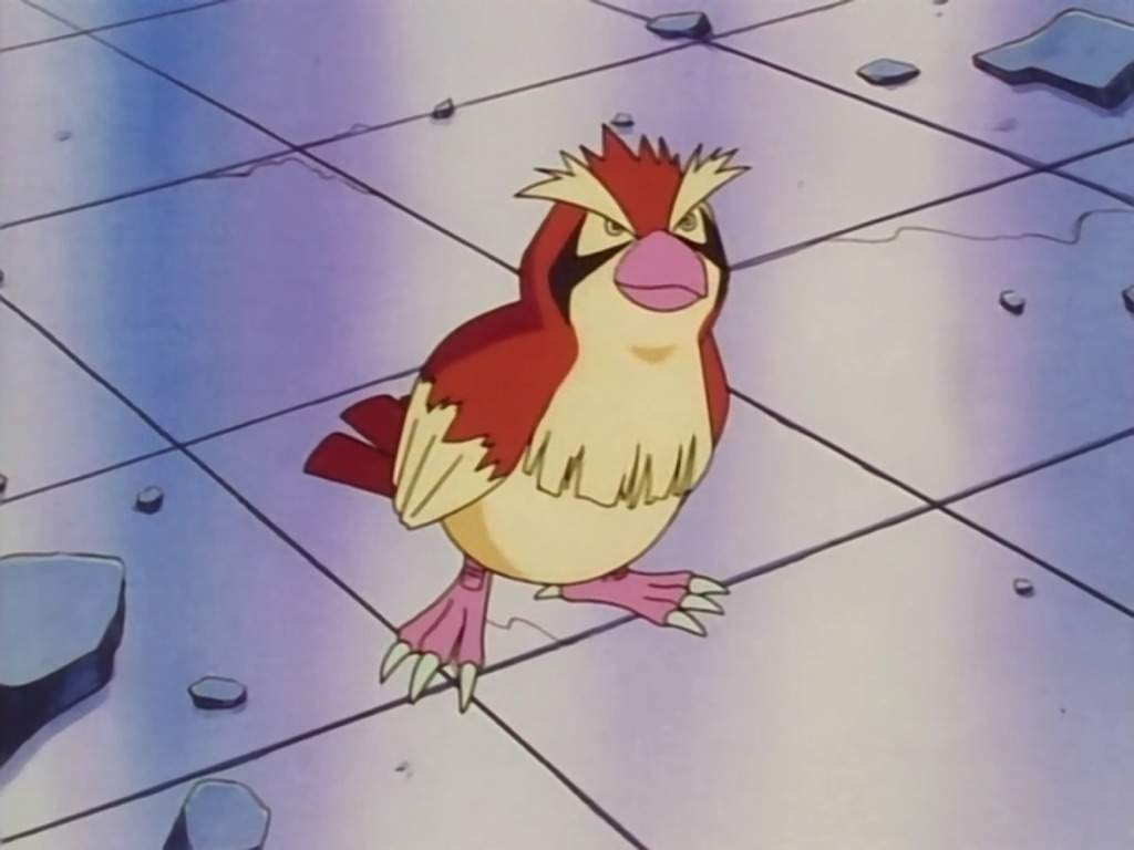 pokemon smile pigeon
