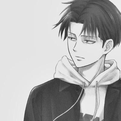 Images Of Levi Ackerman Ideal Type