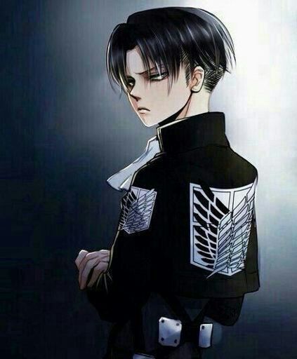 Levi Ackerman yandere | Wiki | Attack On Titan Amino