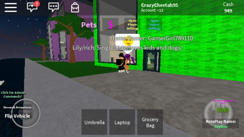 Are They Flirting Life In Paradise Roblox Amino