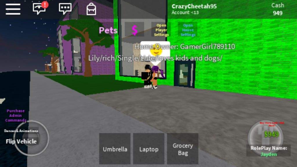Are They Flirting Life In Paradise Roblox Amino
