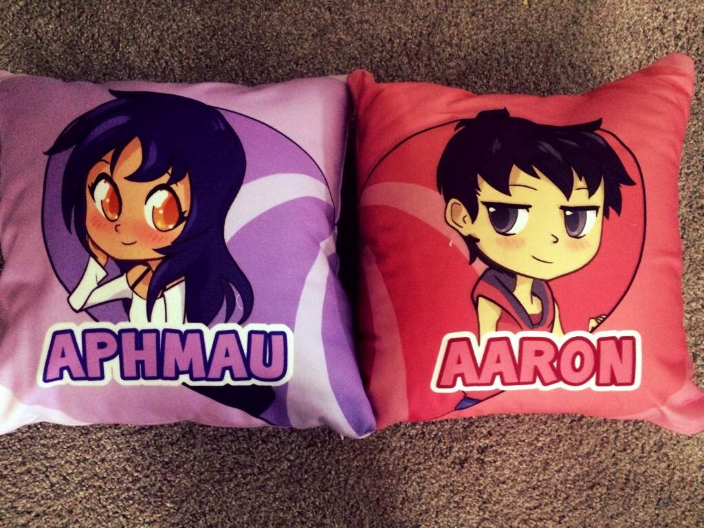 The Aaron pillow shipped in! 