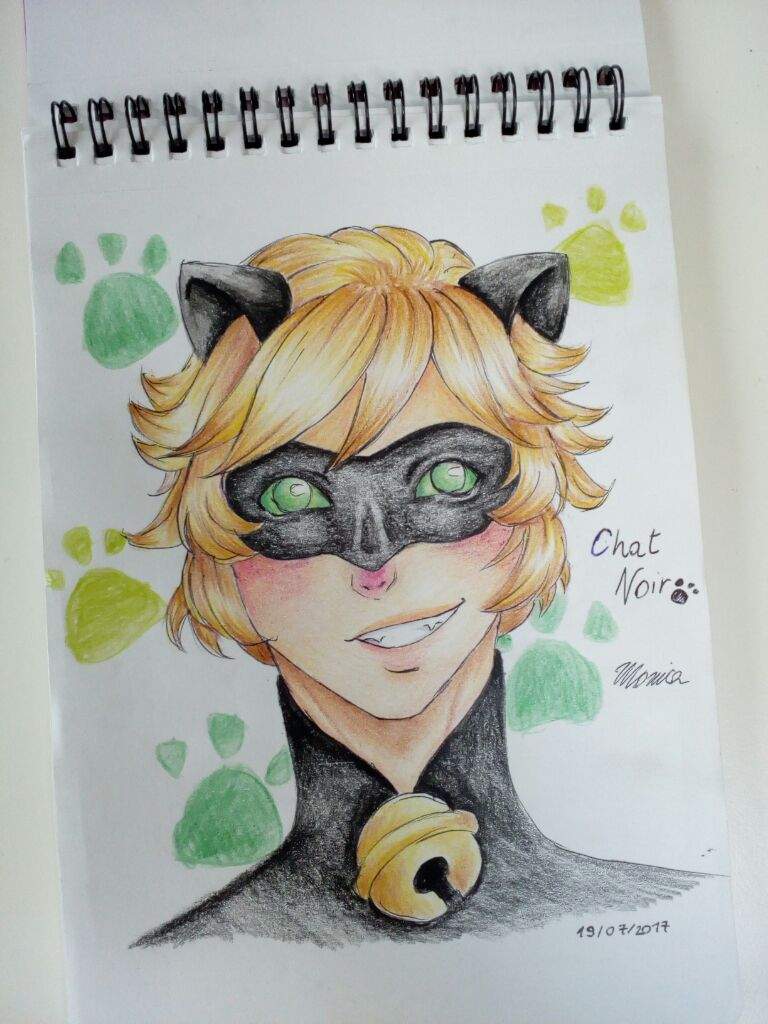 Chat Noir Fanart Miraculous Amino