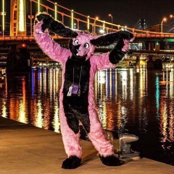 PawsnPlayFursuits | Wiki | Furry Amino