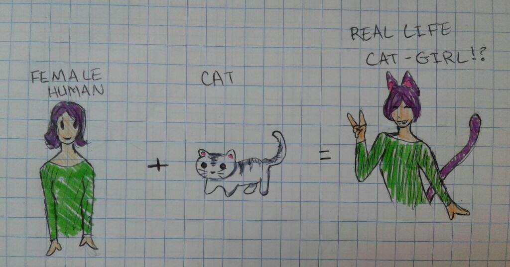 Featured image of post Neko Boy Real Life