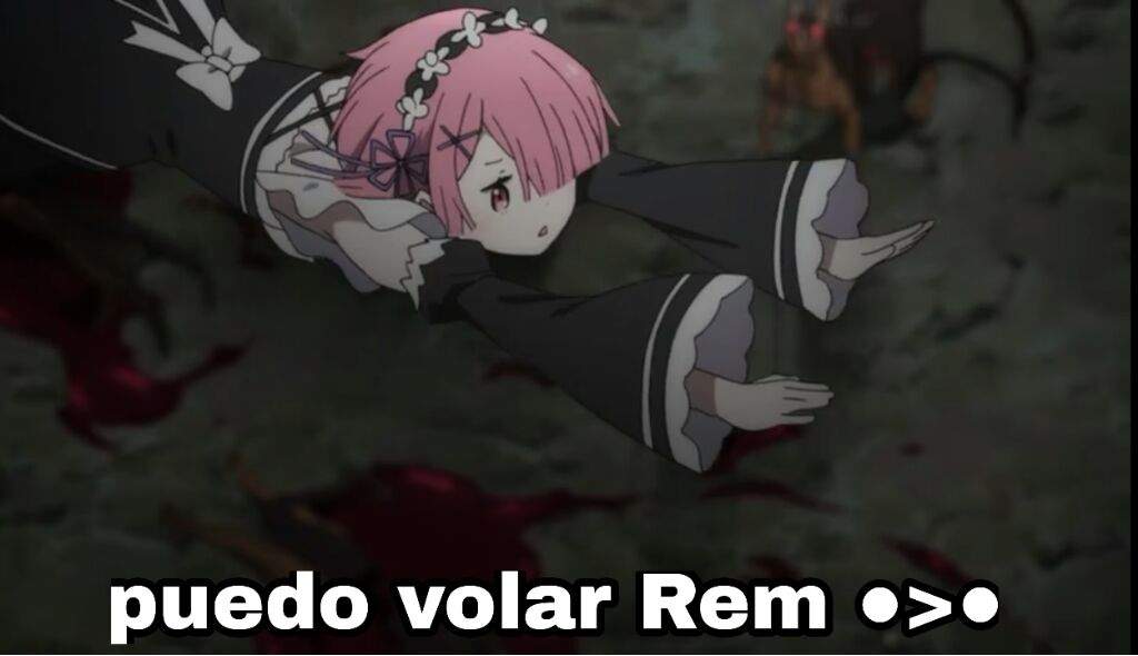 Memes De Re Zero Anime Amino