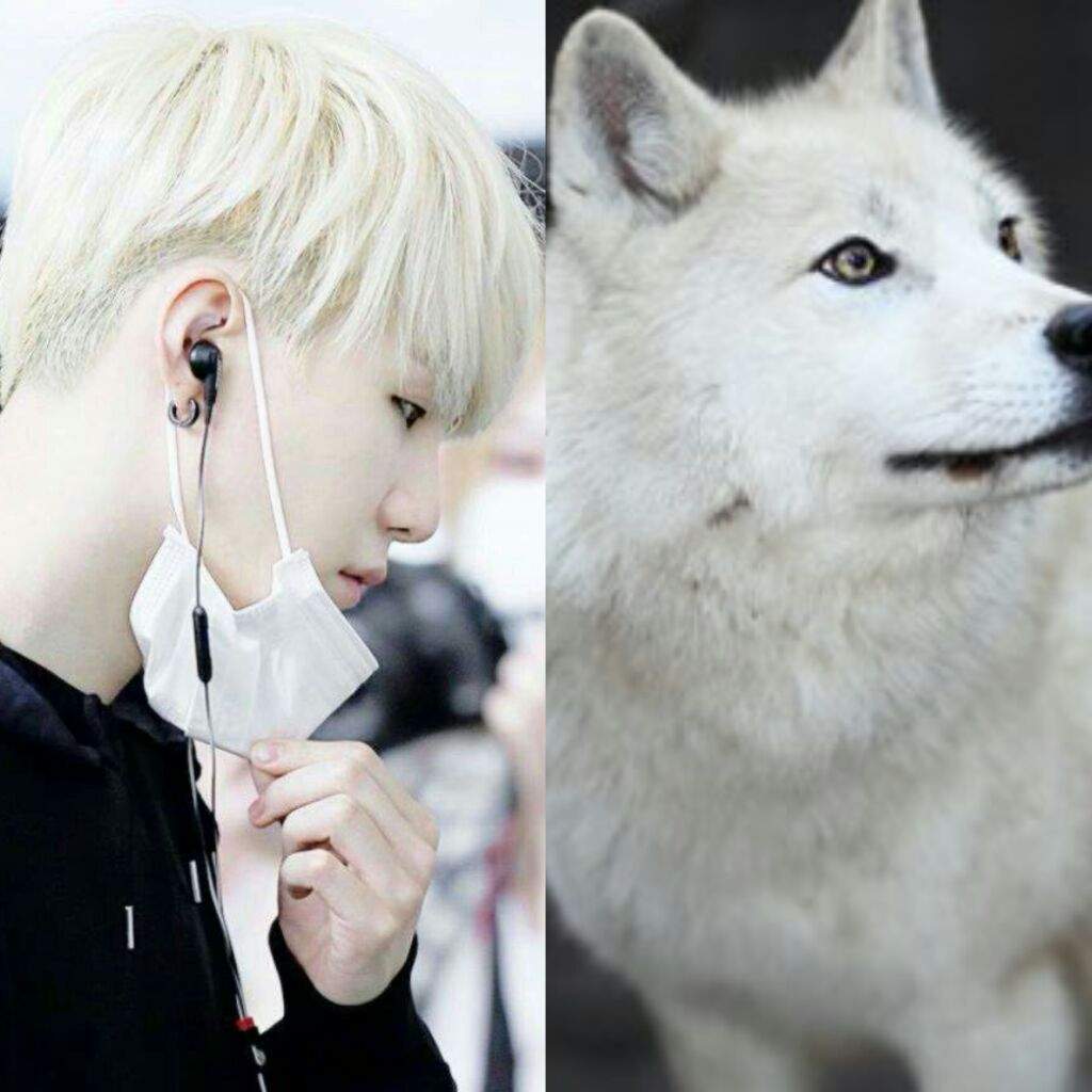 <b>BTS</b> As Wolves.