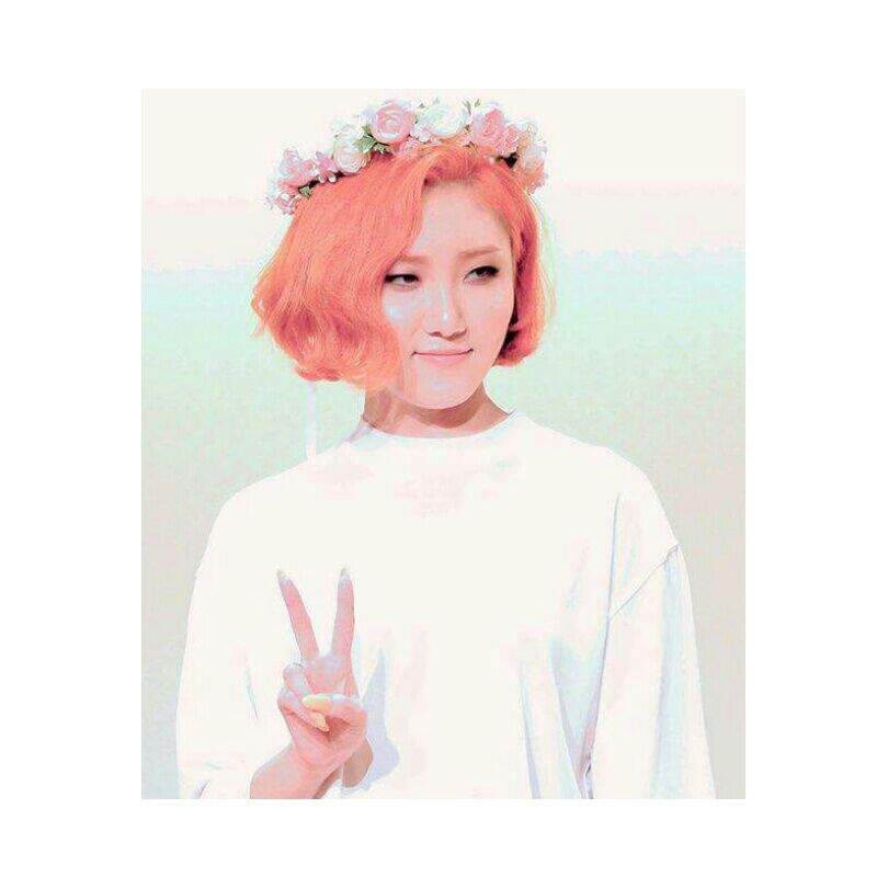 Happy Birthday HwaSa! ♡ | •K-Pop• Amino