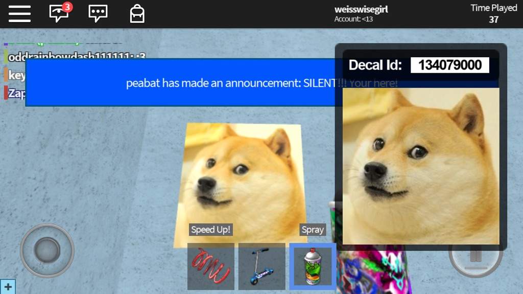 Roblox Spray Paint Id For Doge