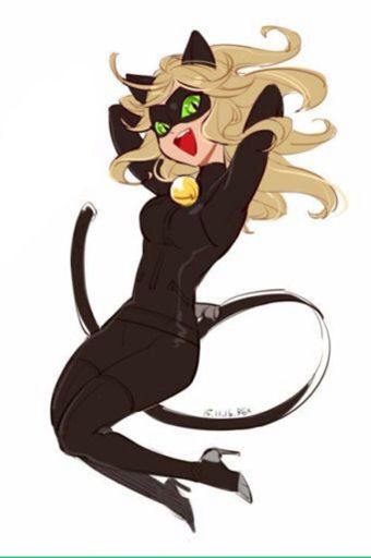 Girl cat noir | Miraculous Amino