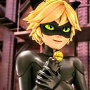 The Cats Meow Chat Noir X Reader X Adrien Miraculous