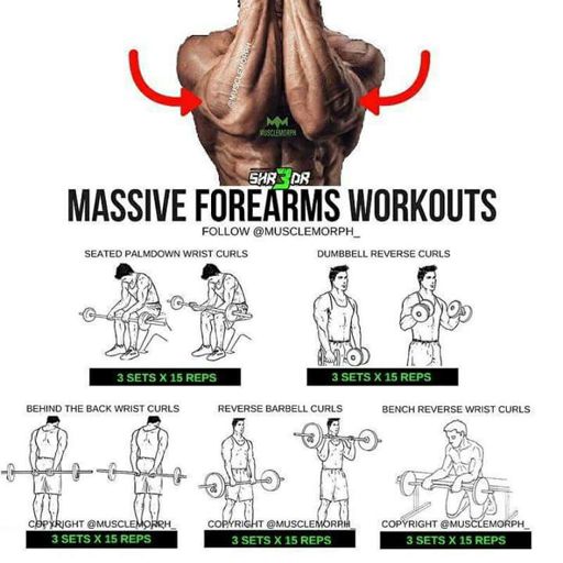 Forearms workouts | Fitness Amino