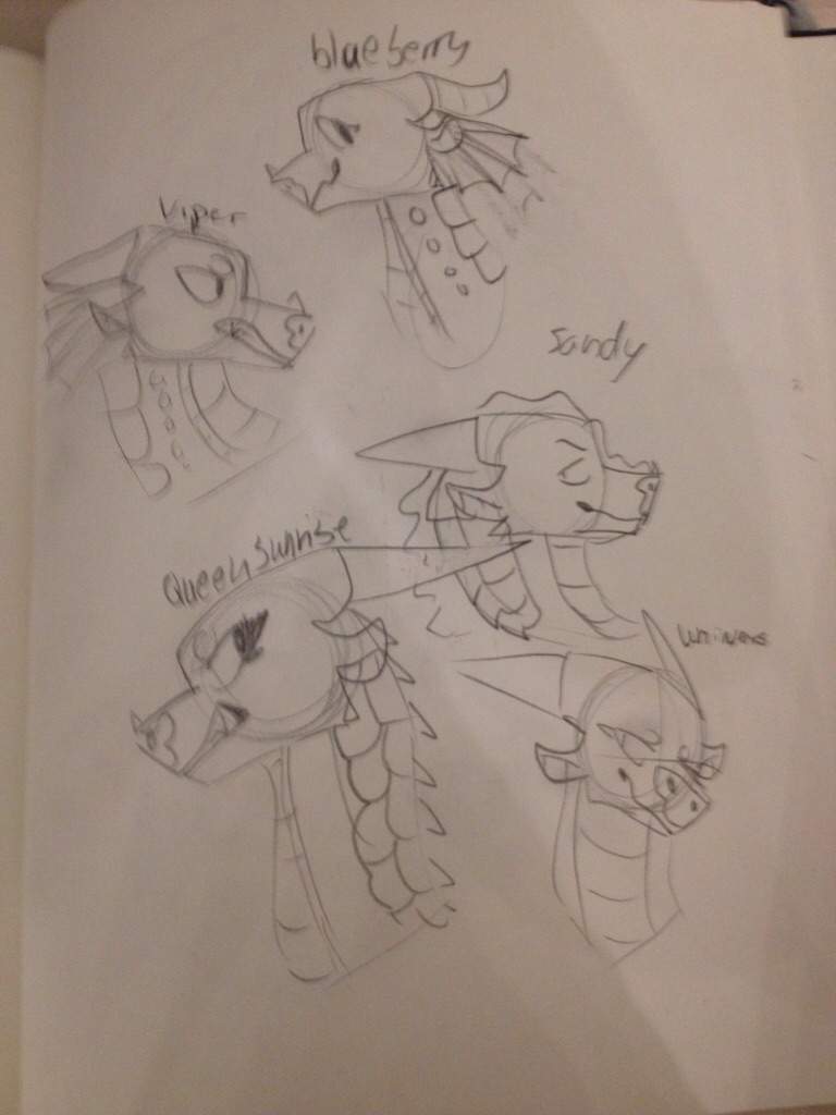 Dragon Oc Sketches Wings Of Fire Amino