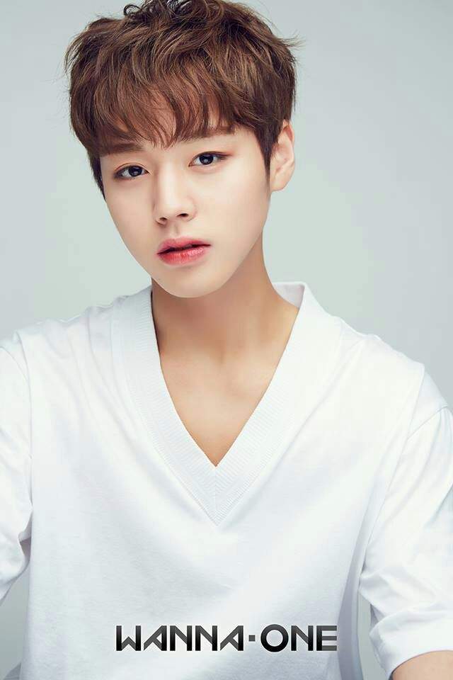 Wanna One Individual Profile Pt.2 | Wanna-One(워너원) Amino