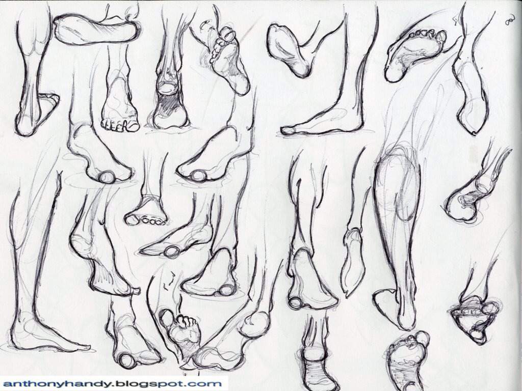 human foot sketch