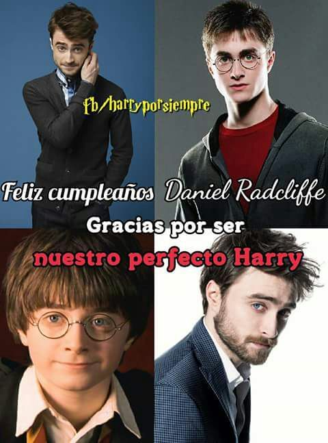 Daniel Radcliffe | •Harry Potter• Español Amino