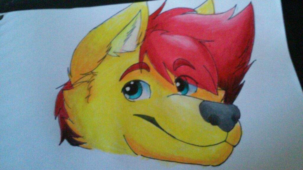 Como Dibujar Furry Mi Estilo Paso A Paso Furry Español Amino