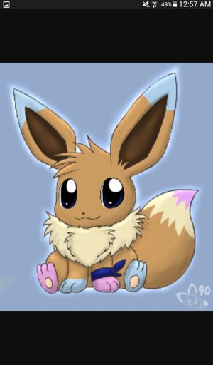 Eevee | Wiki | Pokémon Amino