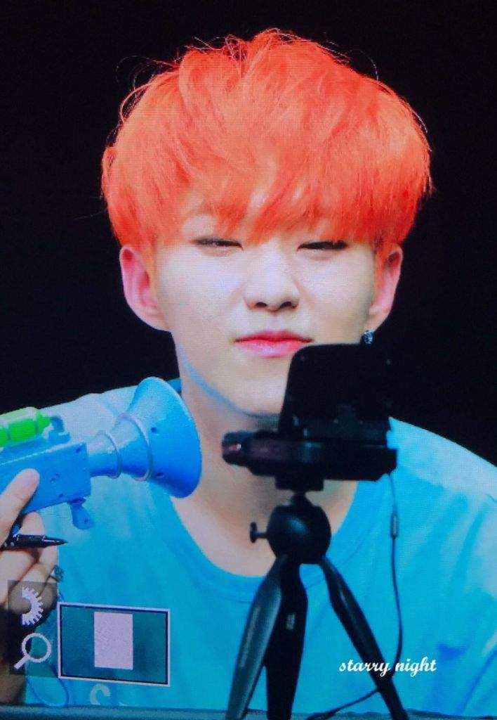 Hoshi Orange Hair | Wiki | Carat 캐럿 Amino