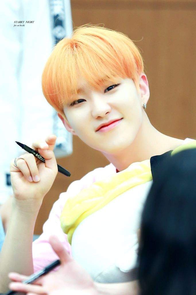 Hoshi Orange Hair | Wiki | Carat 캐럿 Amino