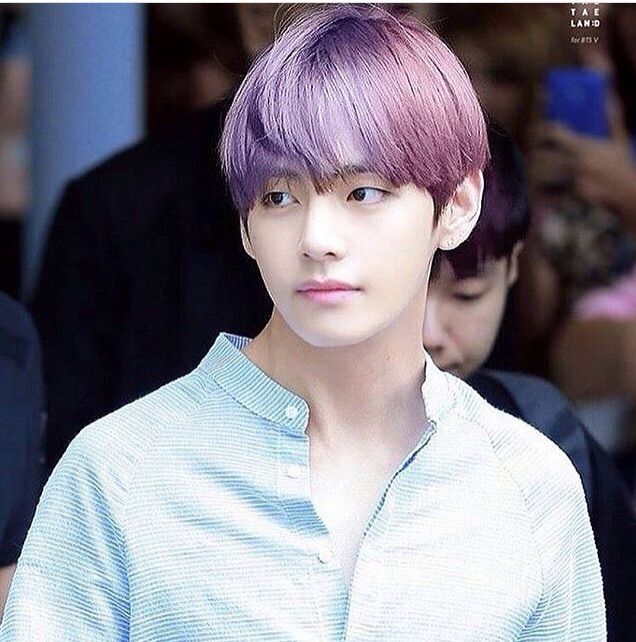 Tae In Purple Hair Army S Amino