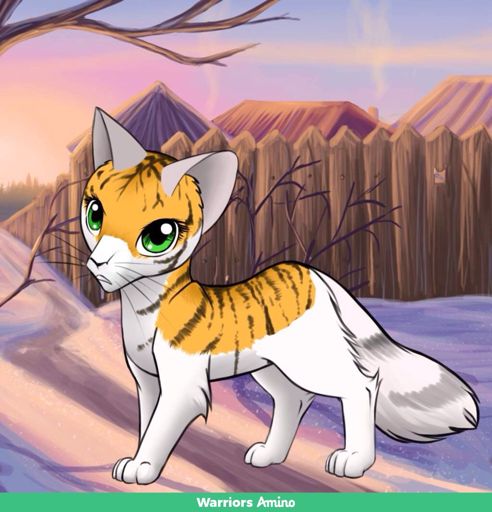 Tigerlily | Wiki | Warrior Cats Fans Amino! Amino