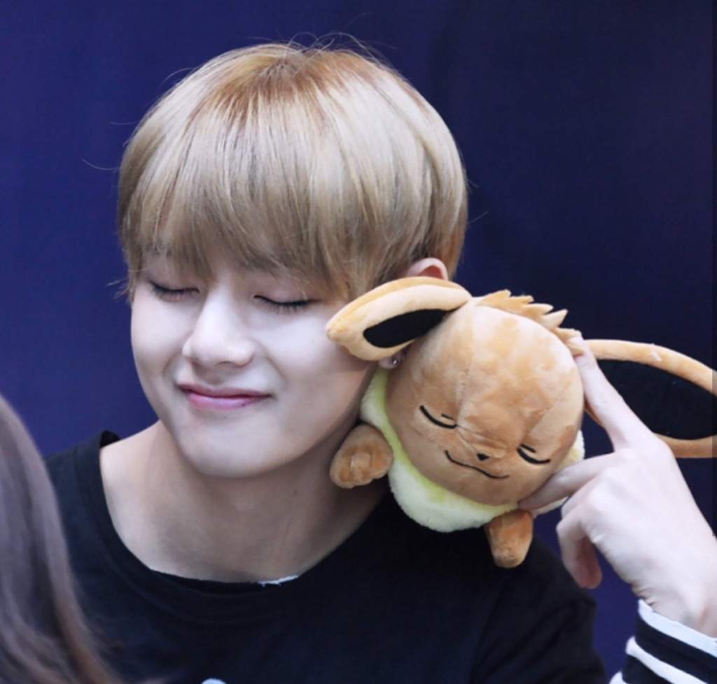 kim taehyung soft toy