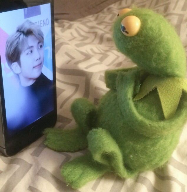 BTS/Kermit Pics | ARMYGOT7 Amino