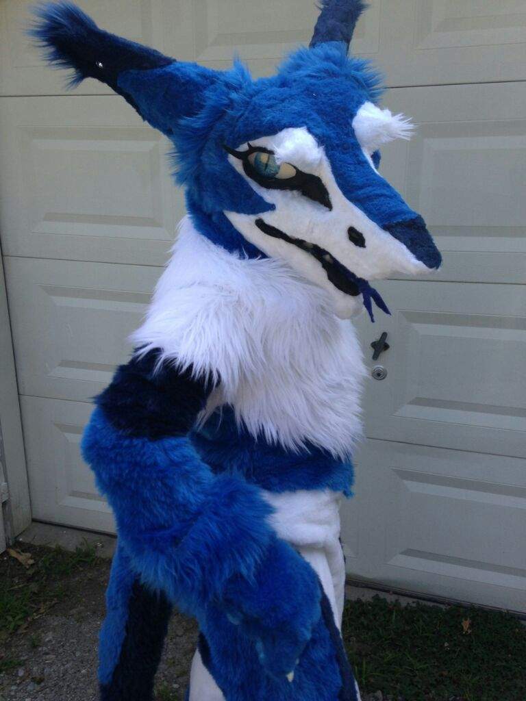 Rhe the Southern Sergal is Complete! | Furry Amino