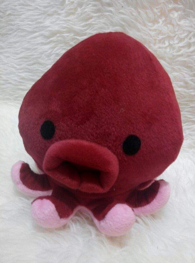 tako plush