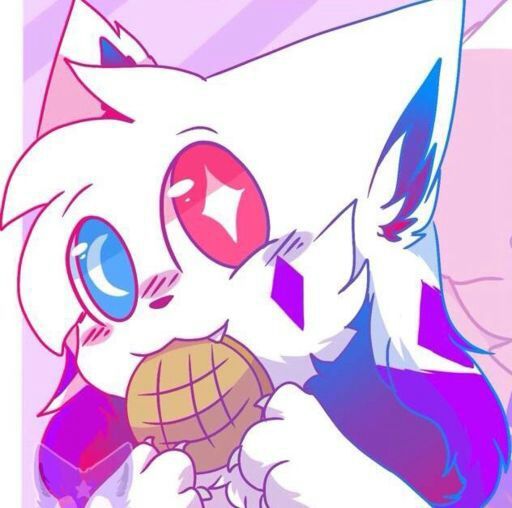 Kittydog 💜 | Wiki | Official Kittydog Amino Amino