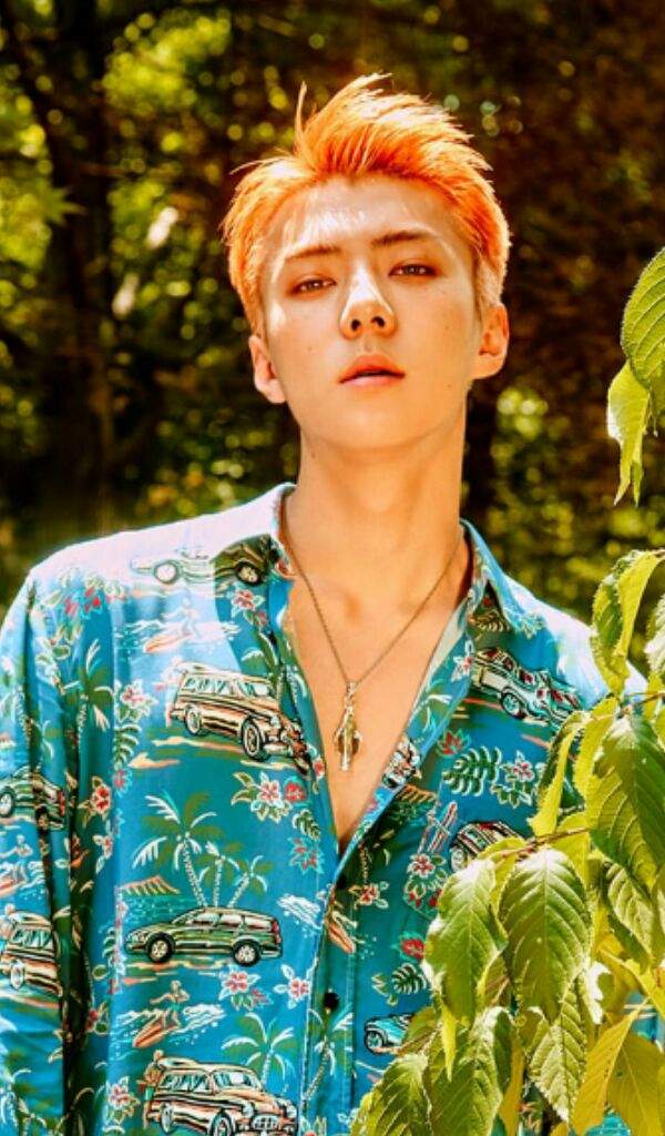 EXO OH SEHUN KO KO BOP | EXO (엑소) Amino