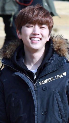 Image result for sandeul smile