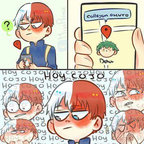 Hahahahah desepcin para todoroki | Boku No Hero Academia Amino. Amino