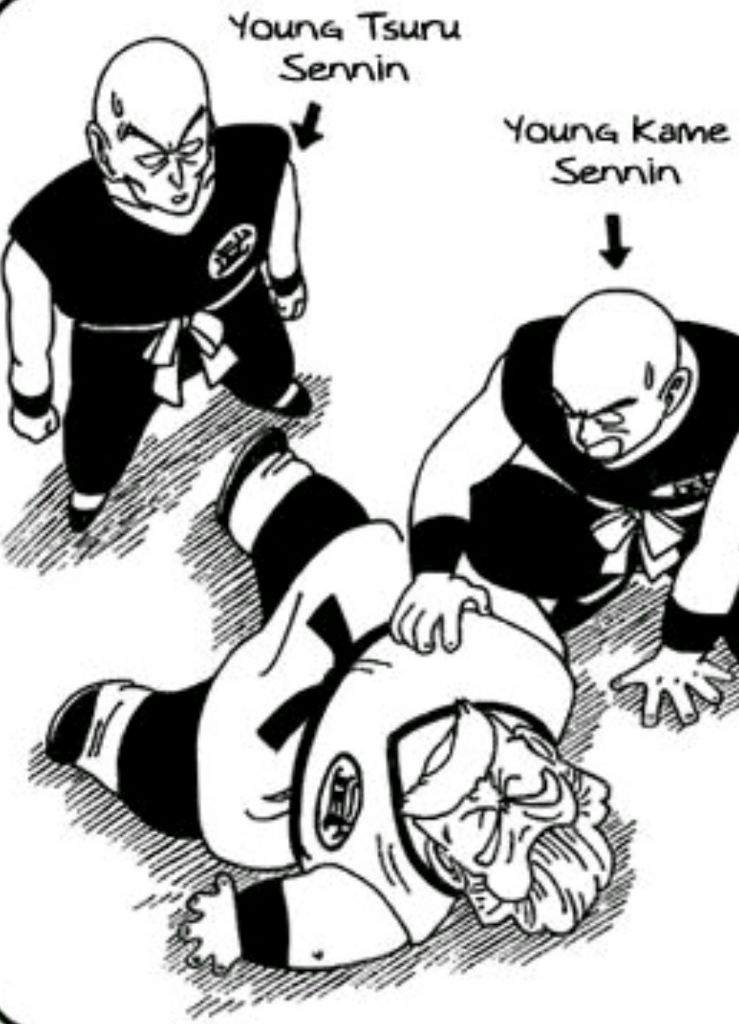 dragon ball z wiki crane school