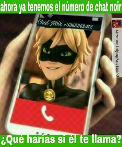 Memes De Ladybug Y Cat Noir