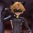 amino-Chat noir-9ff7203e