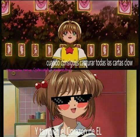 Memes de sakura card captor #2 | •Sakura Card Captor• Amino