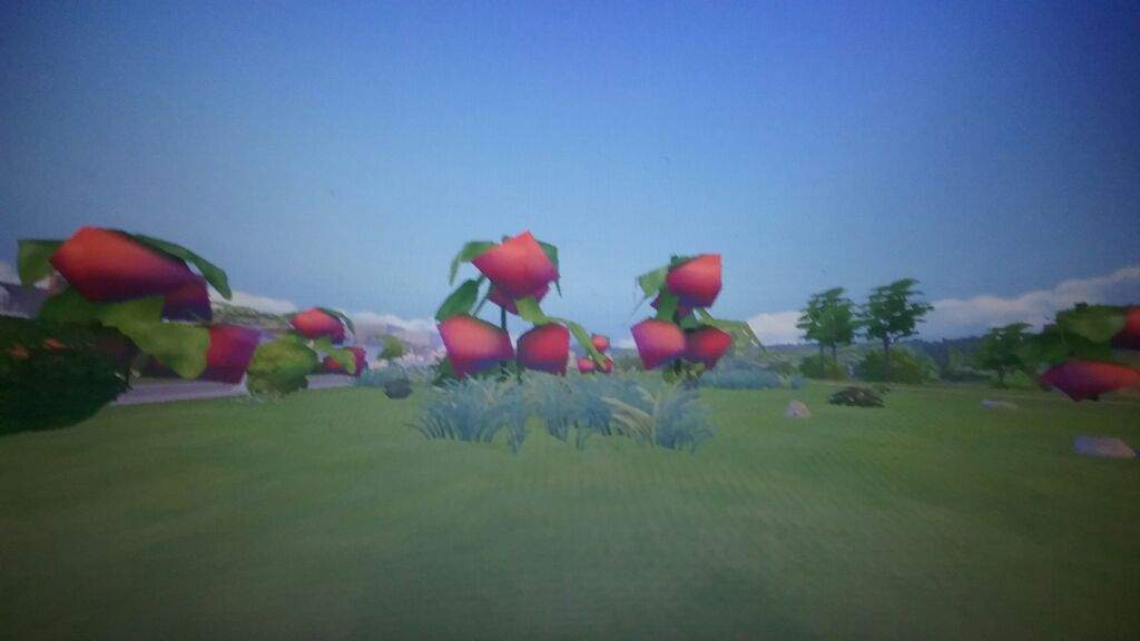 How To Get Strawberries In Sims 4 Cheat