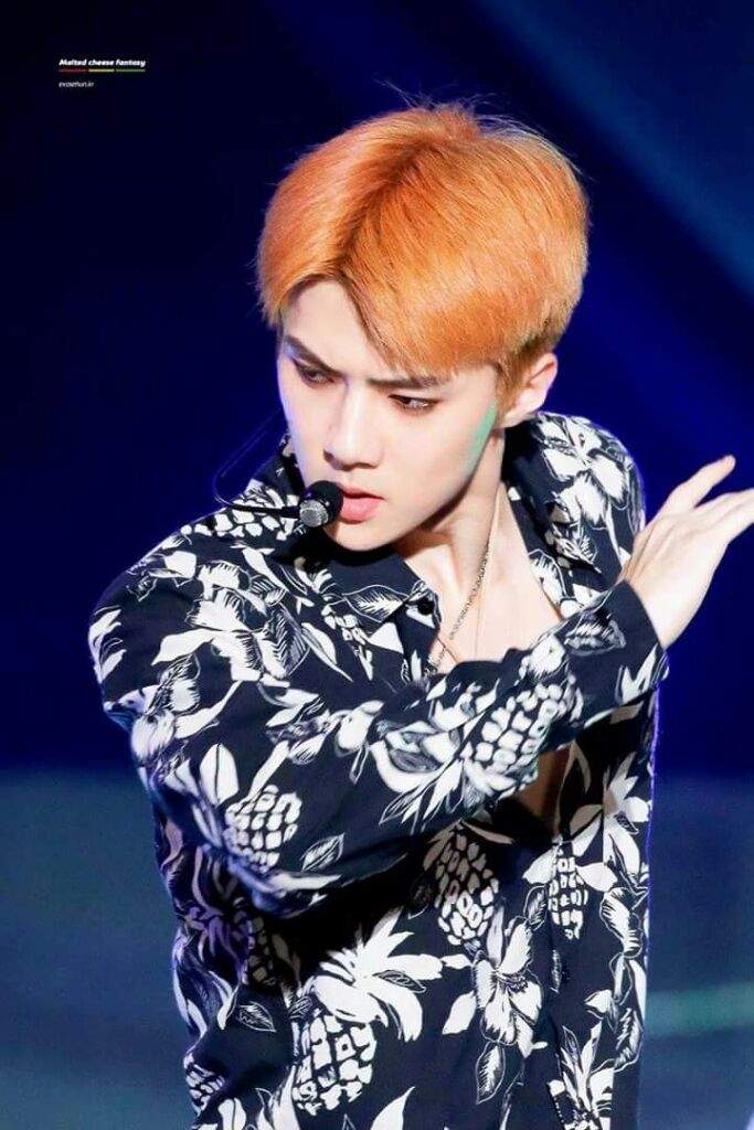 EXO OH SEHUN KO KO BOP | EXO (엑소) Amino