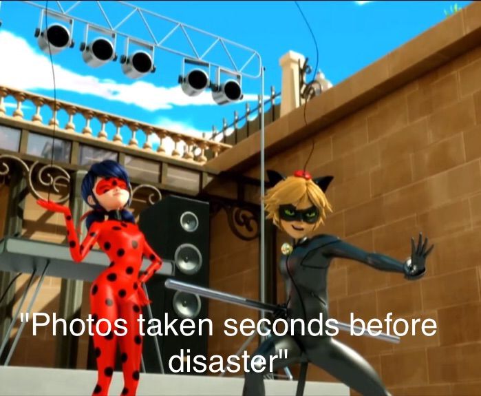 Memes of the week #14 | Miraculous Amino