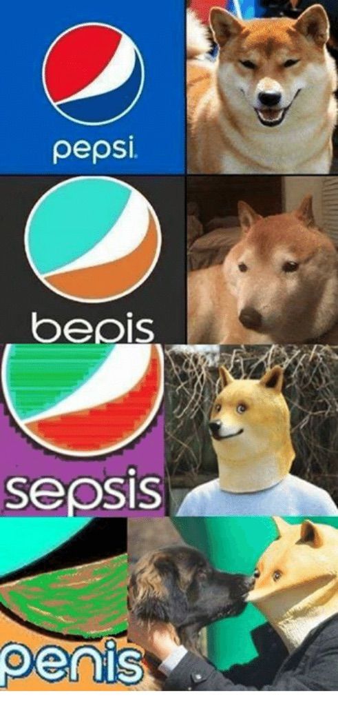 bepis-dank-memes-amino