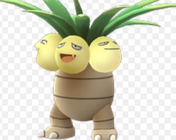 Ciencia Pok Mon Como Evoluciona Un Exeggcute En Un Exeggutor Pok Mon Go Amino